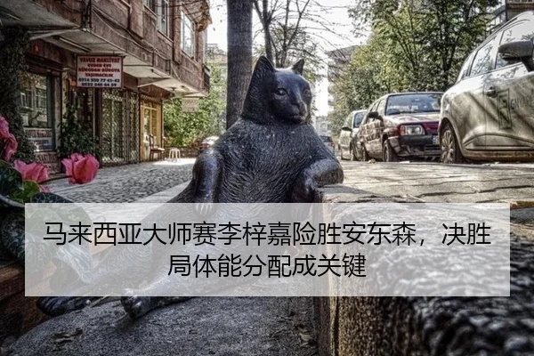 ma-lai-xi-ya-da-shi-sai-li-zi-jia-xian-sheng-an-dong-sen-jue-sheng-ju-ti-neng-fen-pei-cheng-guan-jian-2-378.jpg